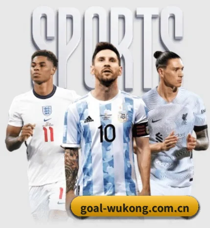 goal-wukong.com.cn的故事